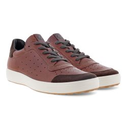 ECCO brown sneakers